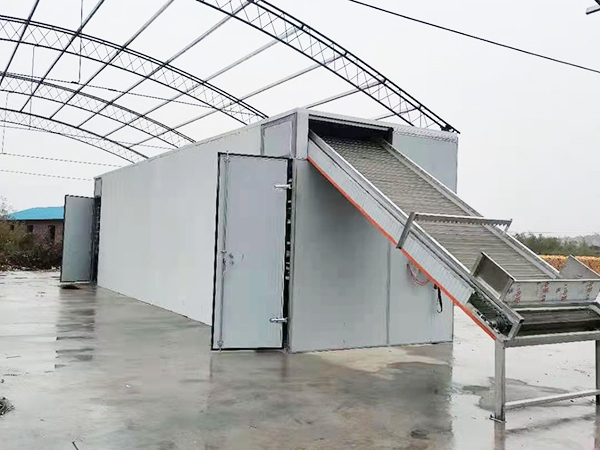 網帶式中藥類烘干2